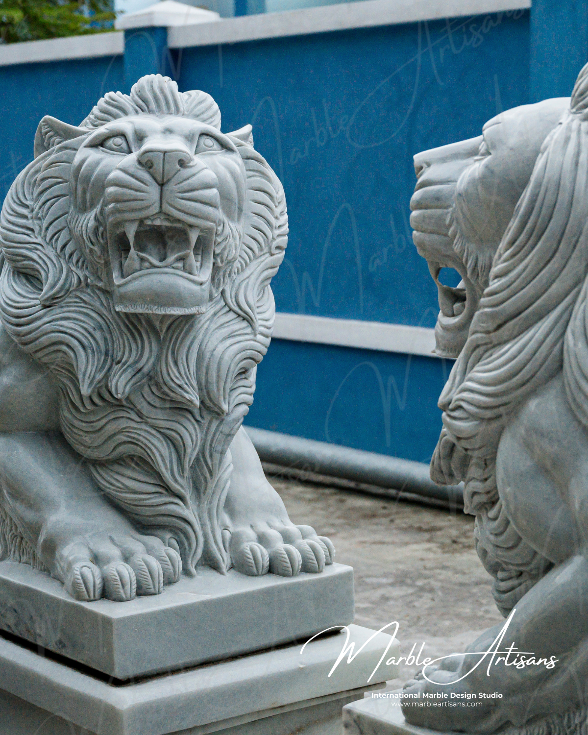 Estate Lions